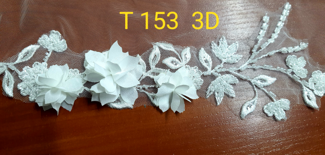 T 153 3D